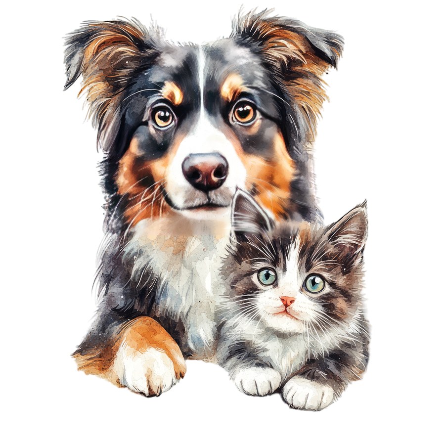 Щенок и котёнок сидят рядом