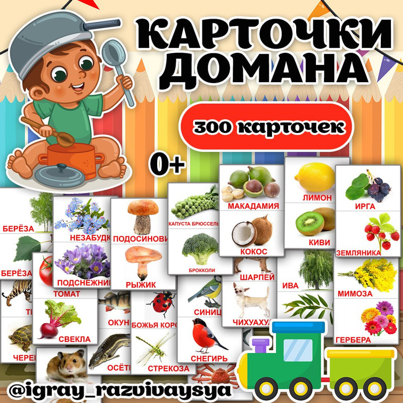 КАРТОЧКИ ДОМАНА