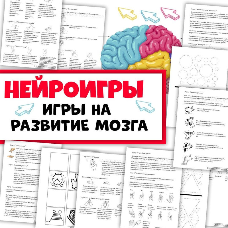 НЕЙРОИГРЫ. РАЗВИТИЕ МОЗГА