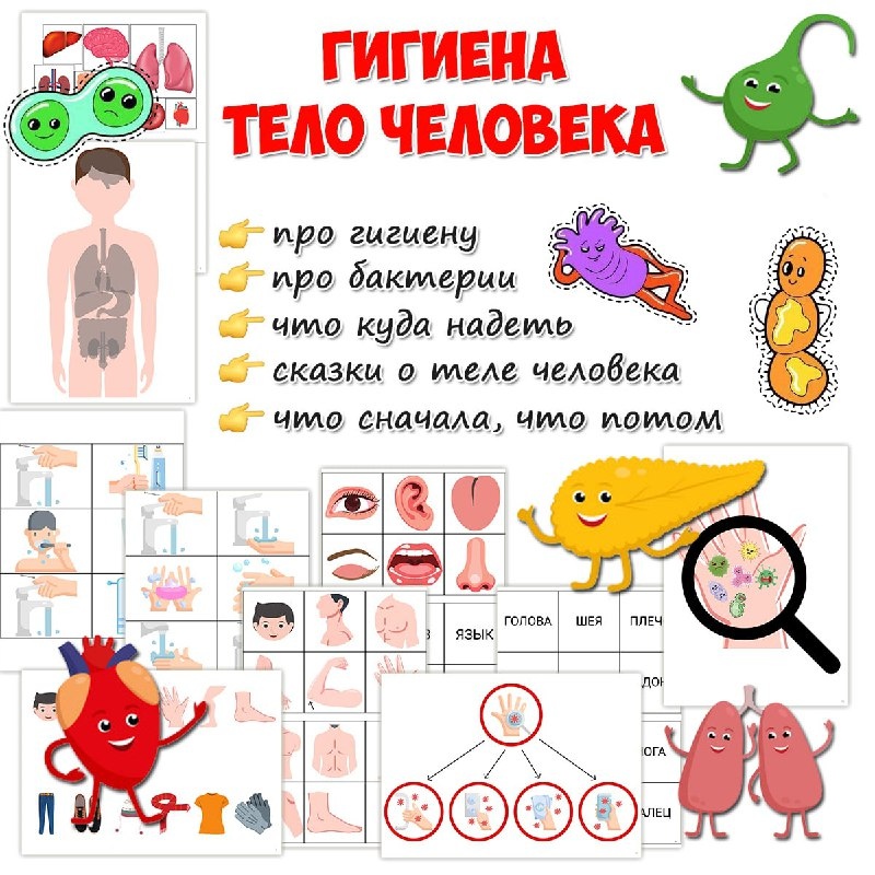 ТЕЛО ЧЕЛОВЕКА — анатомия — для детского сада — Играй и Развивайся