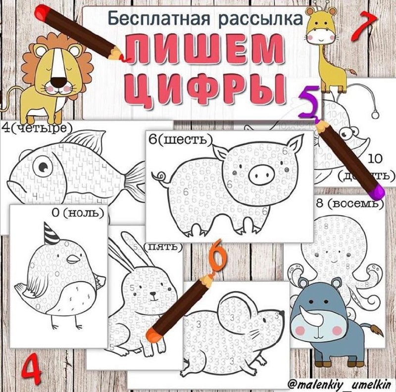 ПИШЕМ ЦИФРЫ — внимание, математика, мелкая моторика — скачать для детского сада