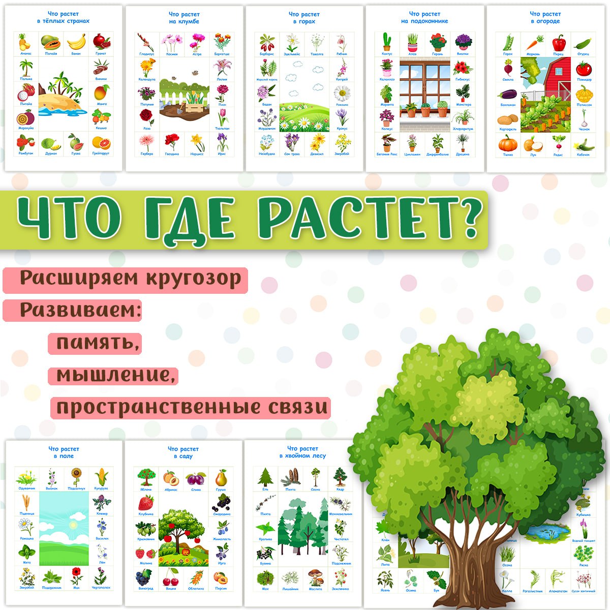 ЧТО ГДЕ РАСТЁТ? — карточки, растения — скачать для детского сада