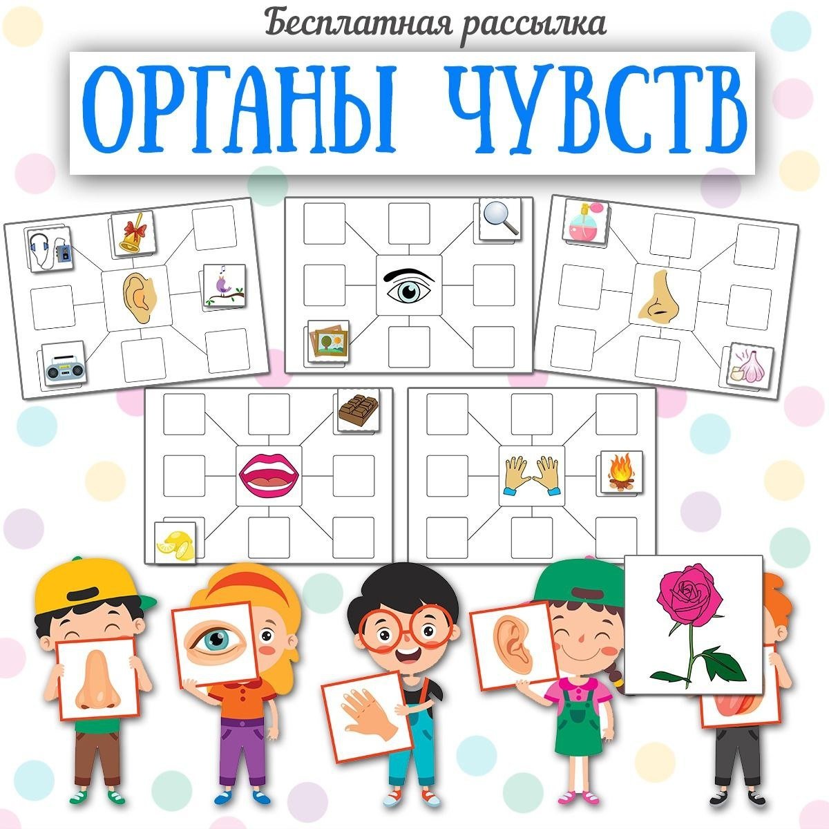 ОРГАНЫ ЧУВСТВ — игры, дидактические игры, анатомия — для детского сада — Играй и Развивайся