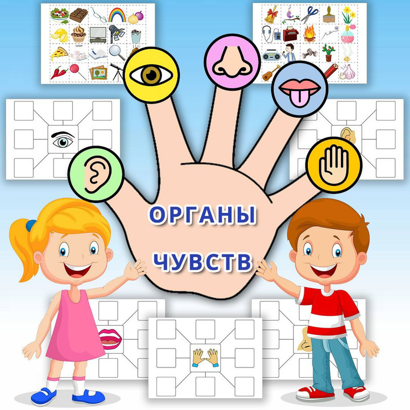 ОРГАНЫ ЧУВСТВ