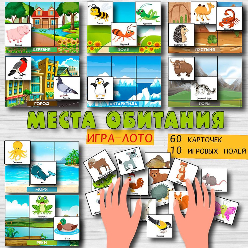 МЕСТА ОБИТАНИЯ