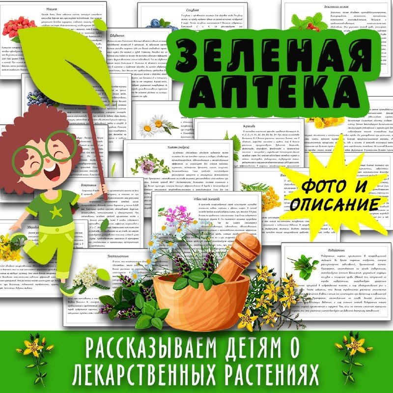 ЗЕЛЕНАЯ АПТЕКА — ромашки, растения — для детского сада — Играй и Развивайся