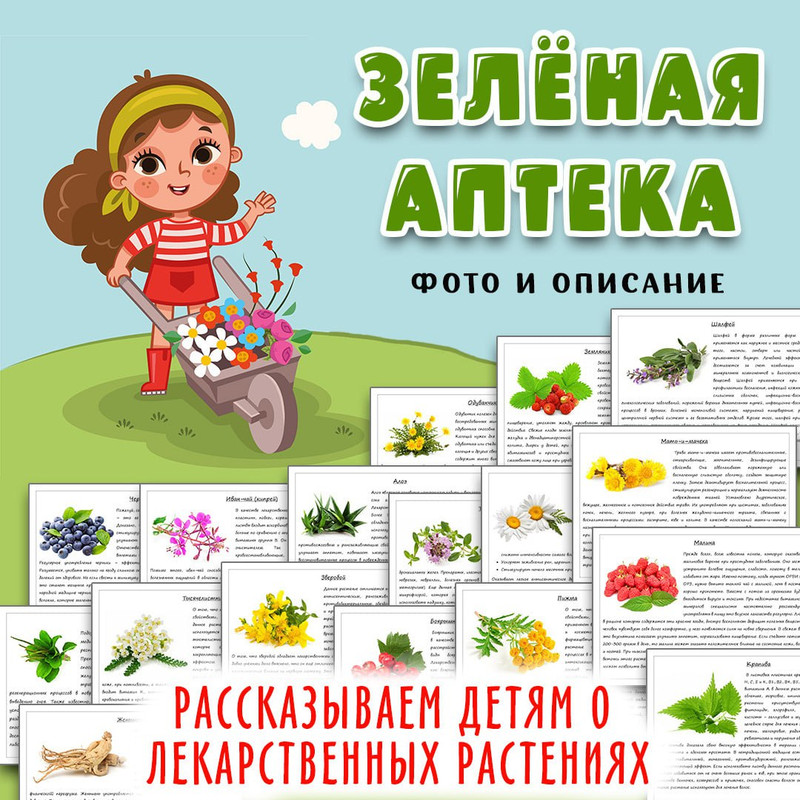 ЗЕЛЕНАЯ АПТЕКА