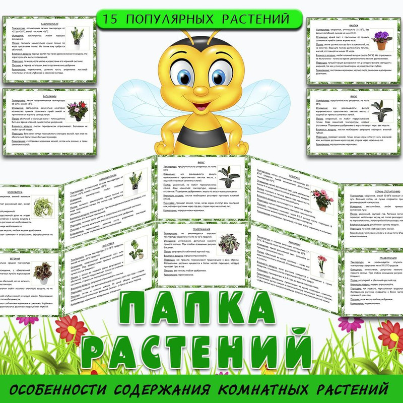 ПАПКА РАСТЕНИЯ