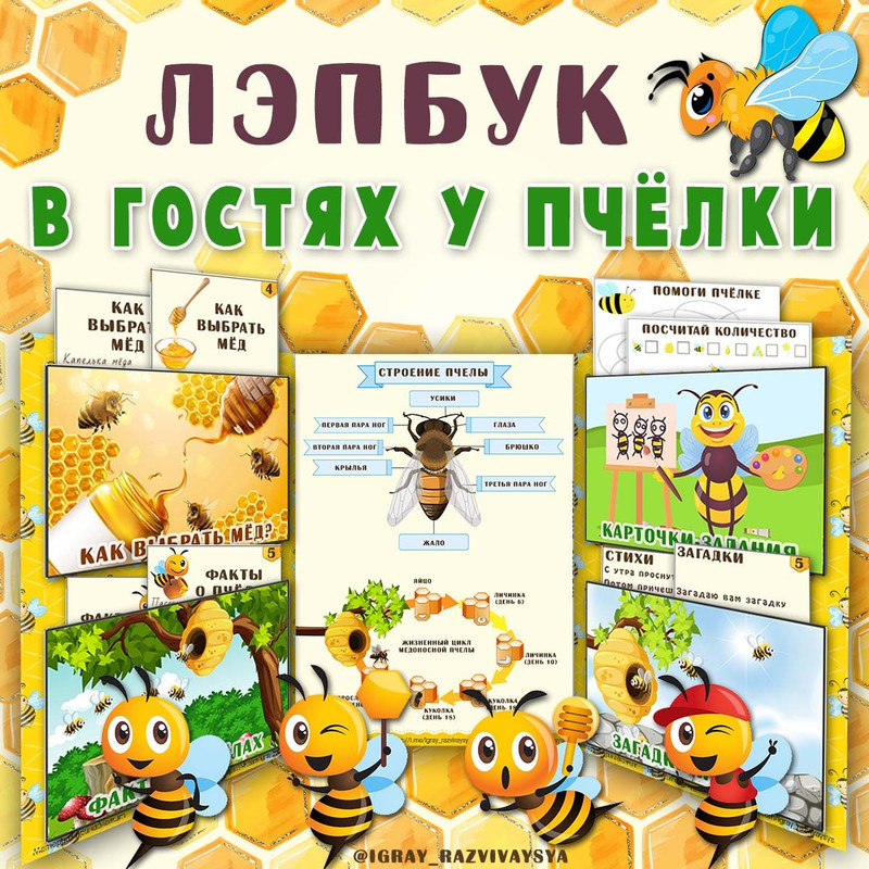 ЛЭПБУК В ГОСТЯХ У ПЧЁЛКИ