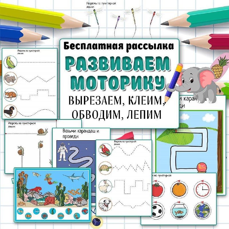 РАЗВИВАЕМ МОТОРИКУ — графомоторика — скачать для детского сада