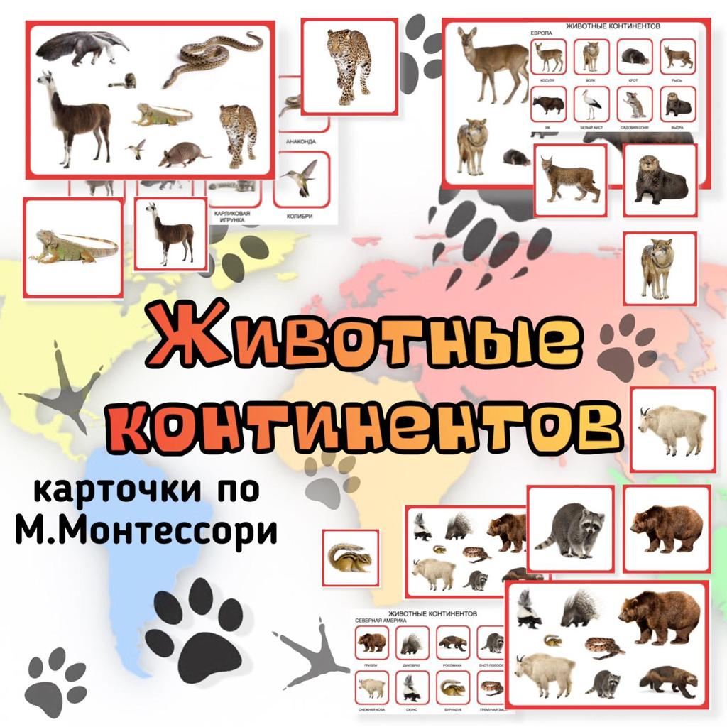 МОНТЕССОРИ ЖИВОТНЫЕ КОНТИНЕНТОВ — животные, карточки, монтессори — для детского сада — Играй и Развивайся