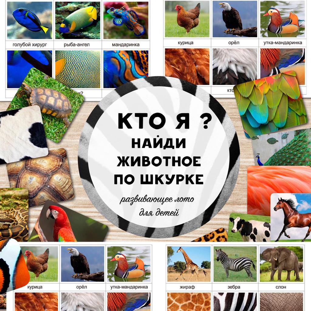 НАЙДИ ЖИВОТНОЕ ПО ШКУРКЕ — животные, лото — скачать для детского сада