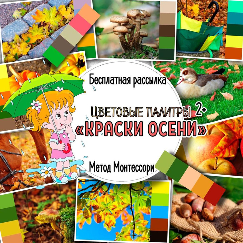 ЦВЕТОВЫЕ ПАЛИТРЫ — монтессори, осень — для детского сада — Играй и Развивайся