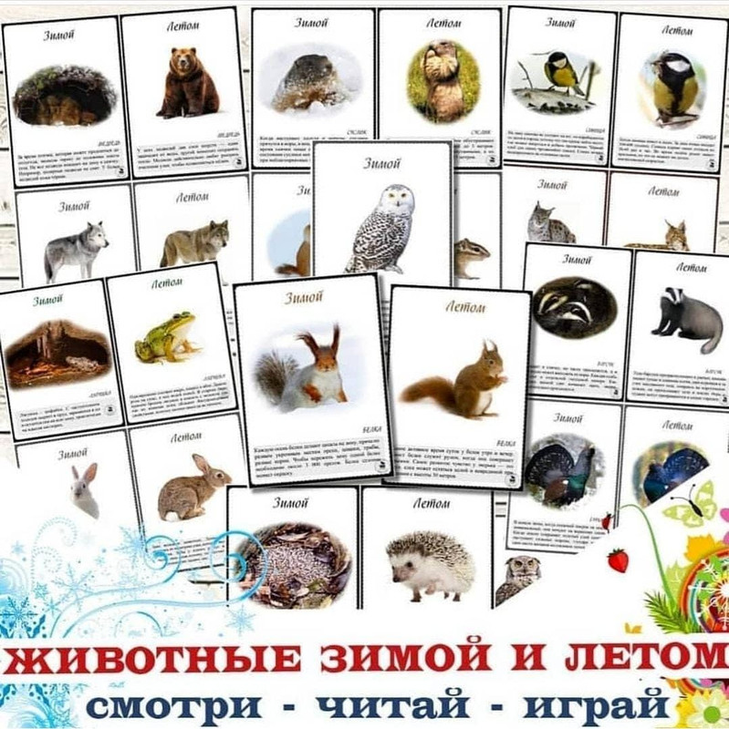 КАРТОЧКИ ЖИВОТНЫЕ ЗИМОЙ И ЛЕТОМ