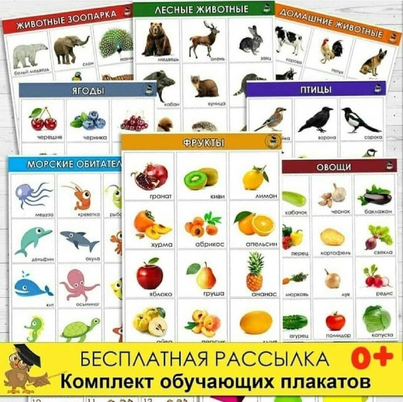 ОБУЧАЮЩИЕ ПЛАКАТЫ ЧАСТЬ 2 — плакат — скачать для детского сада