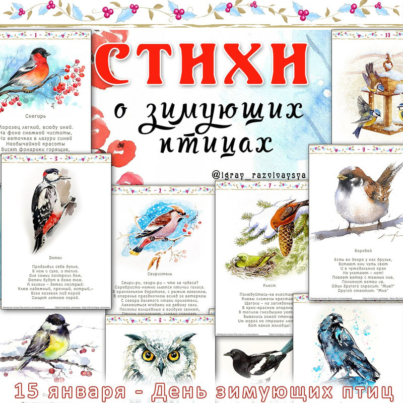 СТИХИ О ЗИМУЮЩИХ ПТИЦАХ