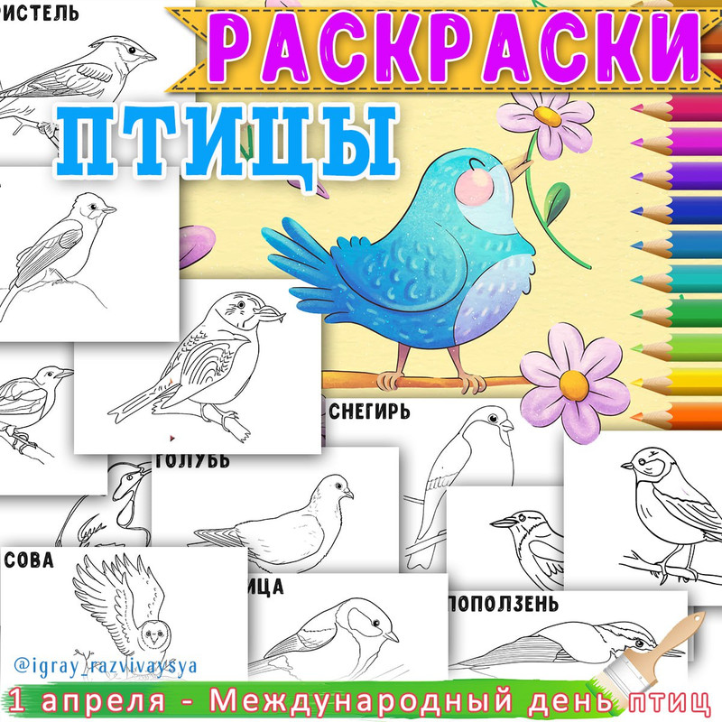 РАСКРАСКИ ЗИМУЮЩИЕ ПТИЦЫ