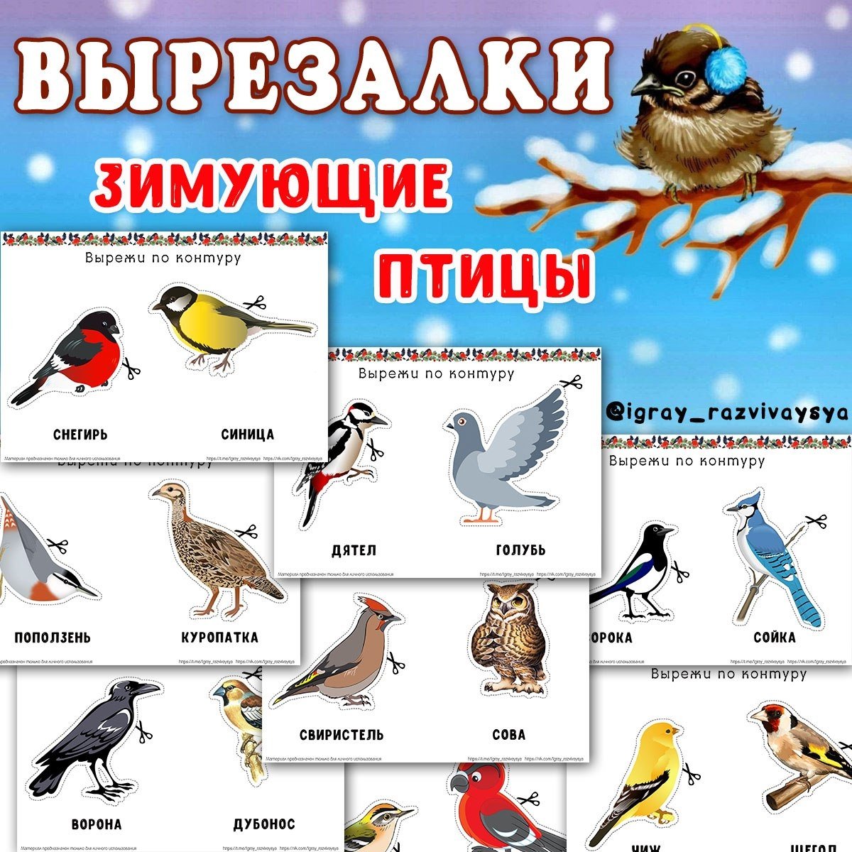 ВЫРЕЗАЛКИ ЗИМУЮЩИЕ ПТИЦЫ — вырезалки, зимующие птицы, птицы — скачать для детского сада