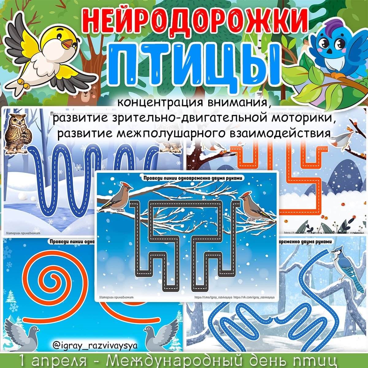 НЕЙРОДОРОЖКИ ЗИМ ПТИЦЫ — внимание, зимующие птицы, логика — для детского сада — Играй и Развивайся