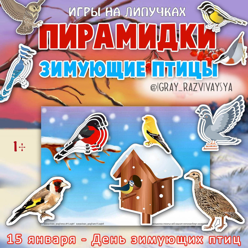 ПИРАМИДКИ ЗИМ ПТИЦЫ