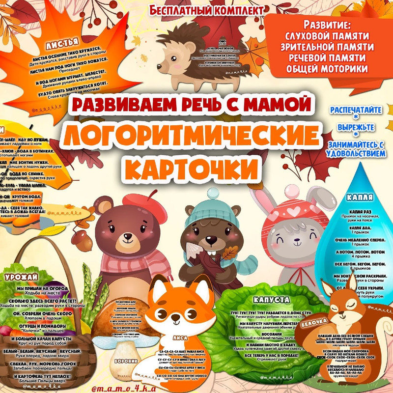 ЛОГОРИТМИЧЕСКИЕ КАРТОЧКИ