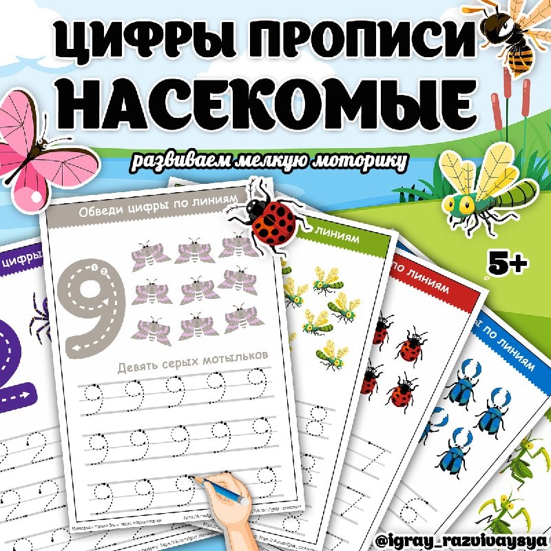 ЦИФРЫ ПРОПИСИ НАСЕКОМЫЕ — математика, мелкая моторика, насекомые — для детского сада — Играй и Развивайся