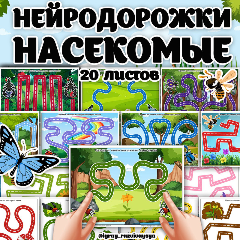 ДОРОЖКИ И НЕЙРОДОРОЖКИ НАСЕКОМЫЕ