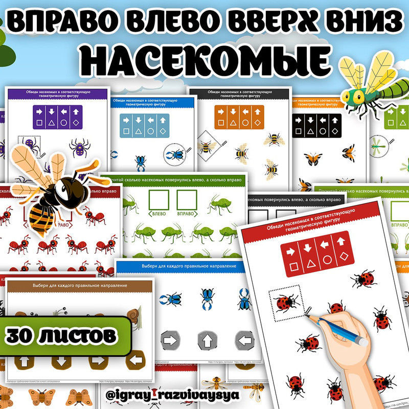 ВПРАВО ВЛЕВО ВВЕРХ ВНИЗ НАСЕКОМЫЕ