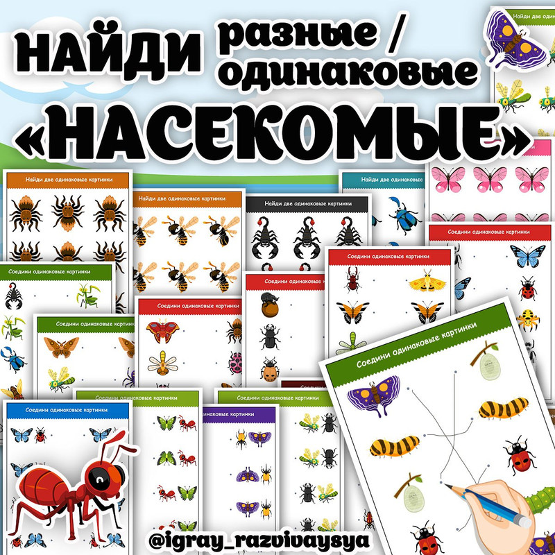 НАЙДИ ОДИНАКОВЫЕ РАЗНЫЕ НАСЕКОМЫЕ