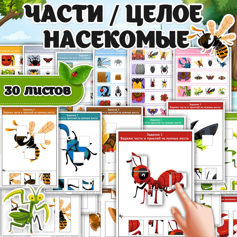 ЧАСТИ ЦЕЛОЕ НАСЕКОМЫЕ