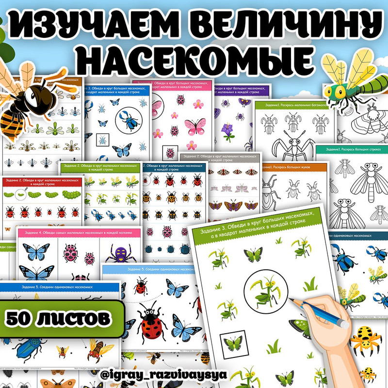 ИЗУЧАЕМ ВЕЛИЧИНУ НАСЕКОМЫЕ