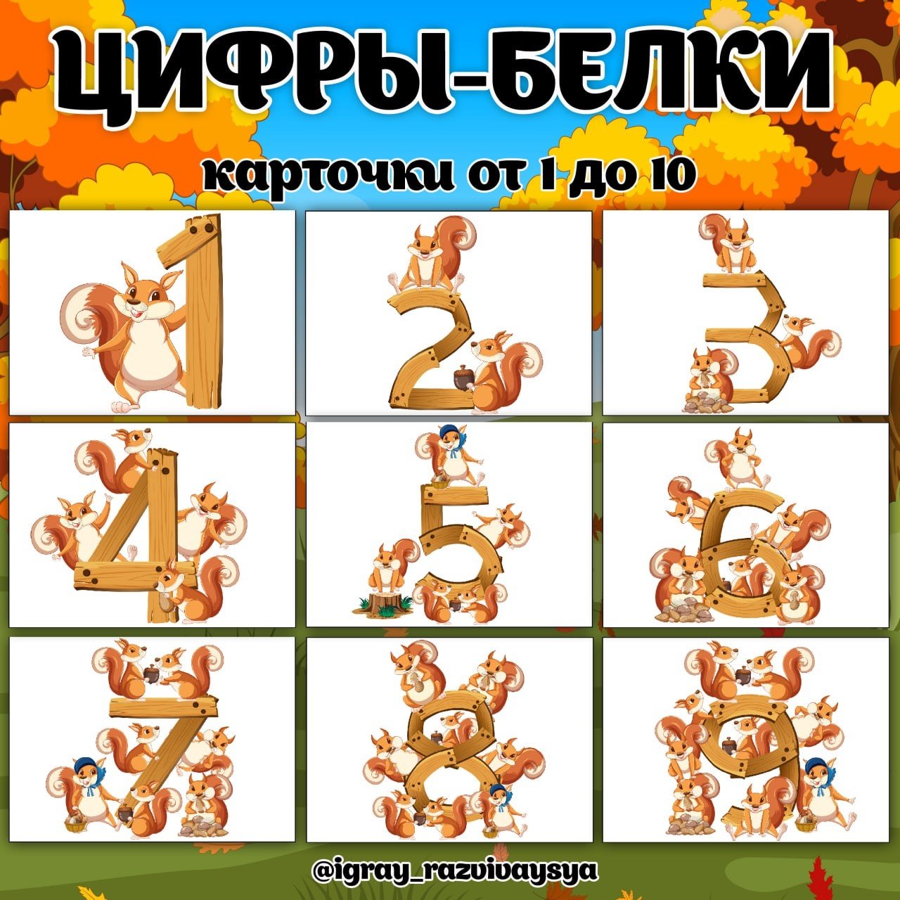 ЦИФРЫ БЕЛКИ — карточки, математика — скачать для детского сада