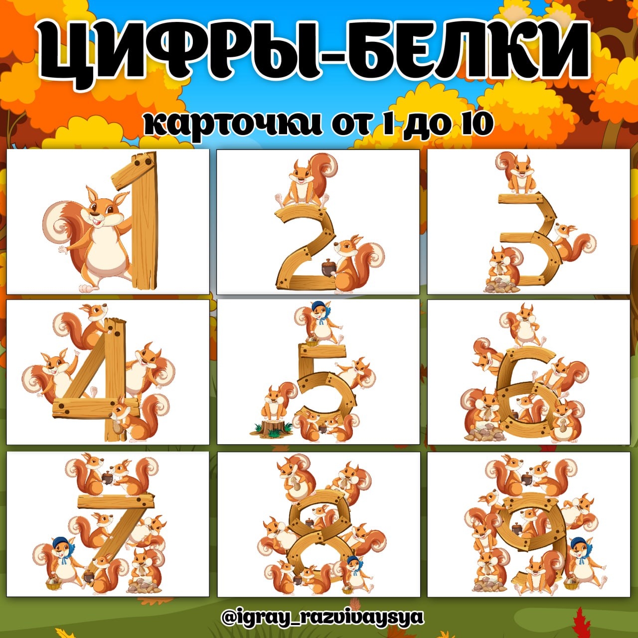 ЦИФРЫ БЕЛКИ — математика, карточки — для детского сада — Играй и Развивайся