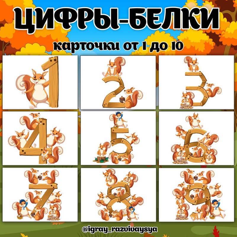 ЦИФРЫ БЕЛКИ