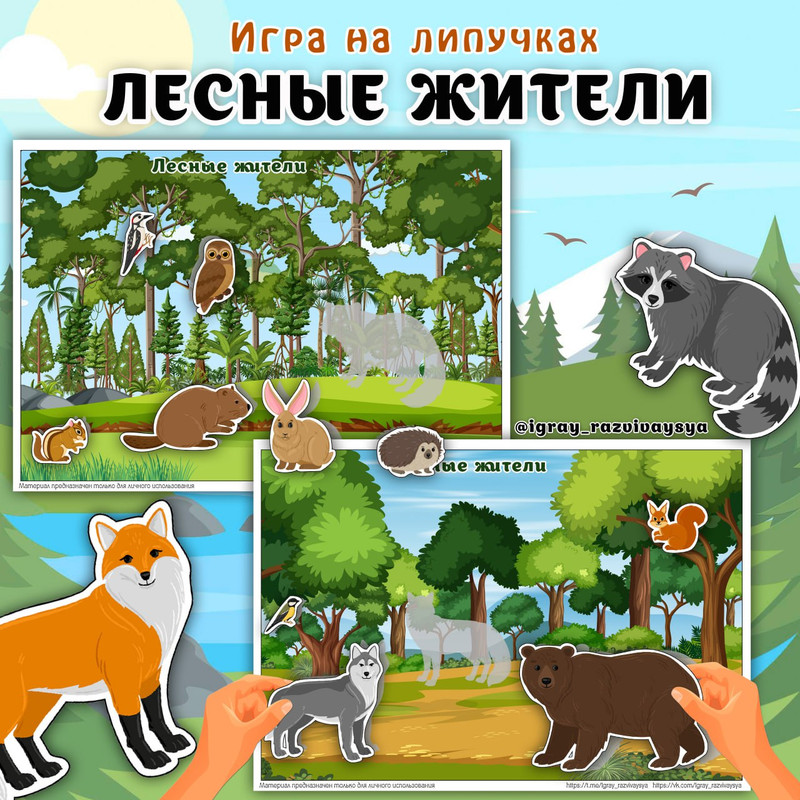 ЛИПУЧКИ ЛЕСНЫЕ ЖИВОТНЫЕ