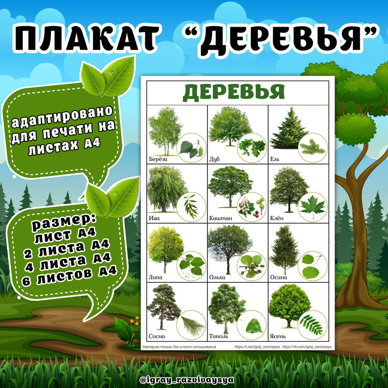 ПЛАКАТ ДЕРЕВЬЯ