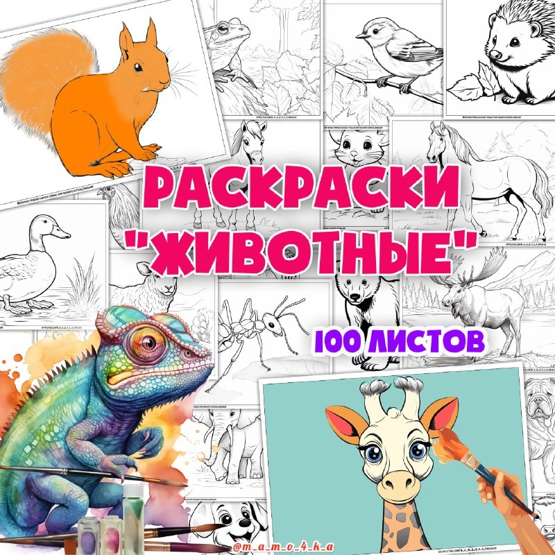РАСКРАСКИ ЖИВОТНЫЕ — животные, раскраски — скачать для детского сада
