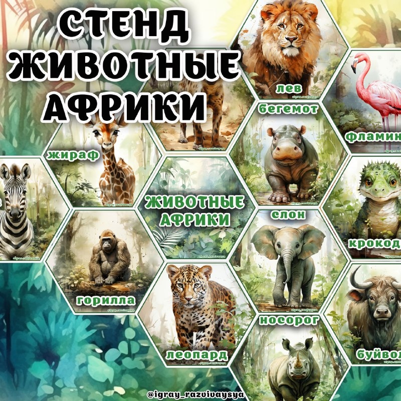 СТЕНД ЖИВОТНЫЕ АФРИКИ — животные, стенд — скачать для детского сада