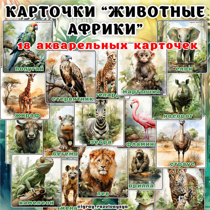 КАРТОЧКИ ЖИВОТНЫЕ АФРИКИ