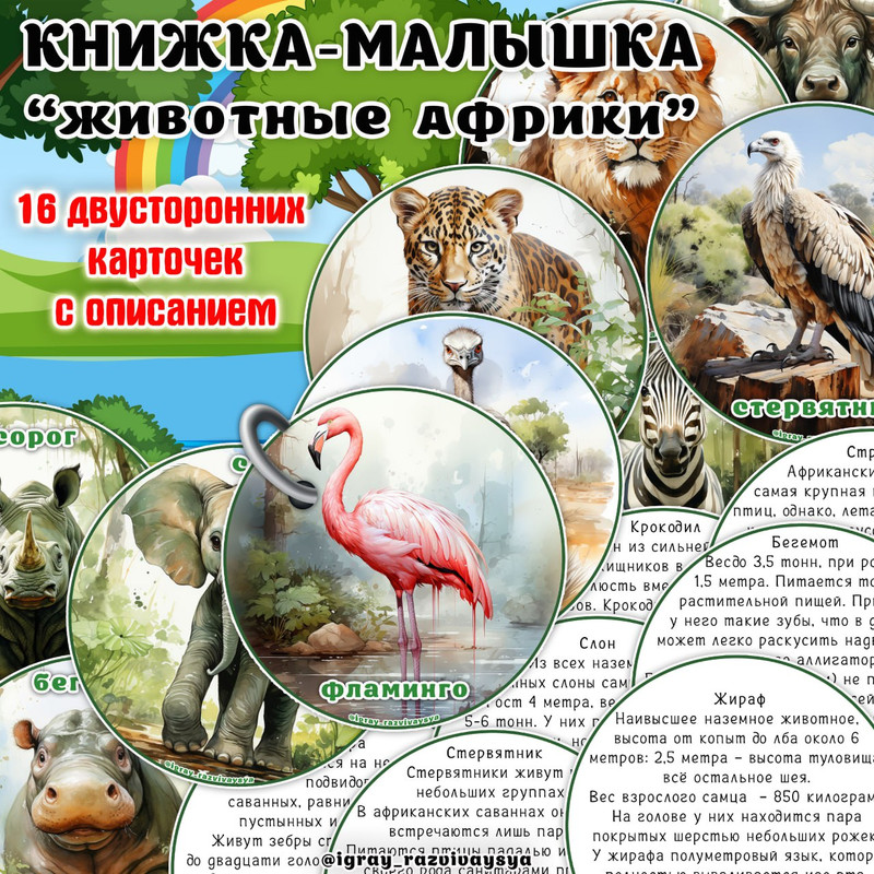 КНИЖКА МАЛЫШКА ЖИВОТНЫЕ АФРИКИ