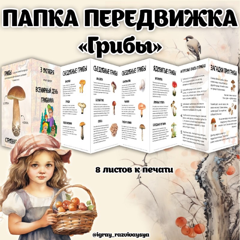ПАПКА ПЕРЕДВИЖКА ГРИБЫ — грибы, папка передвижка — для детского сада — Играй и Развивайся