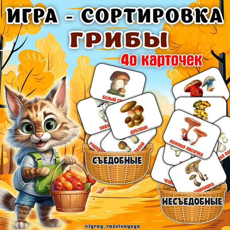 ГРИБЫ СОРТИРОВКА