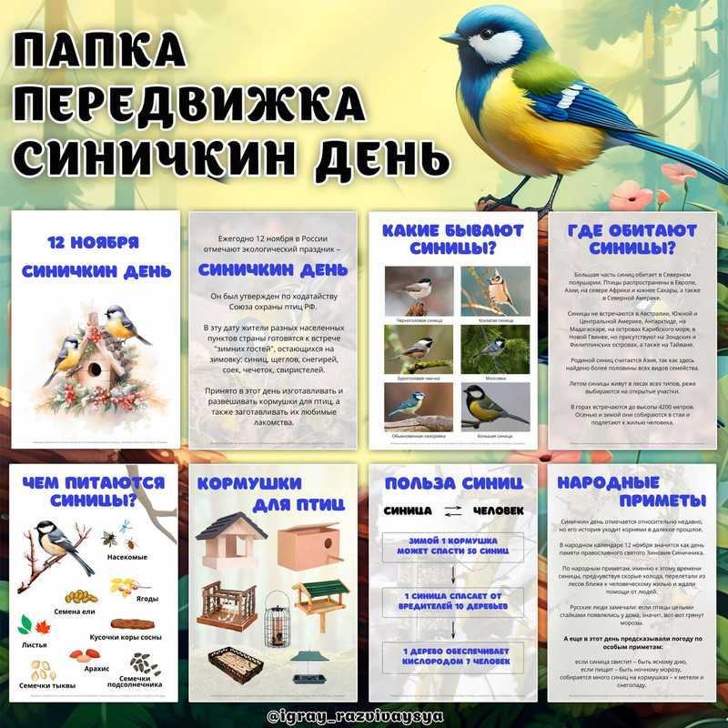 ПАПКА ПЕРЕДВИЖКА СИНИЧКИН ДЕНЬ