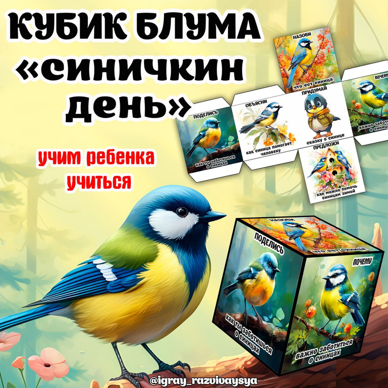 КУБИК БЛУМА СИНИЧКИН ДЕНЬ