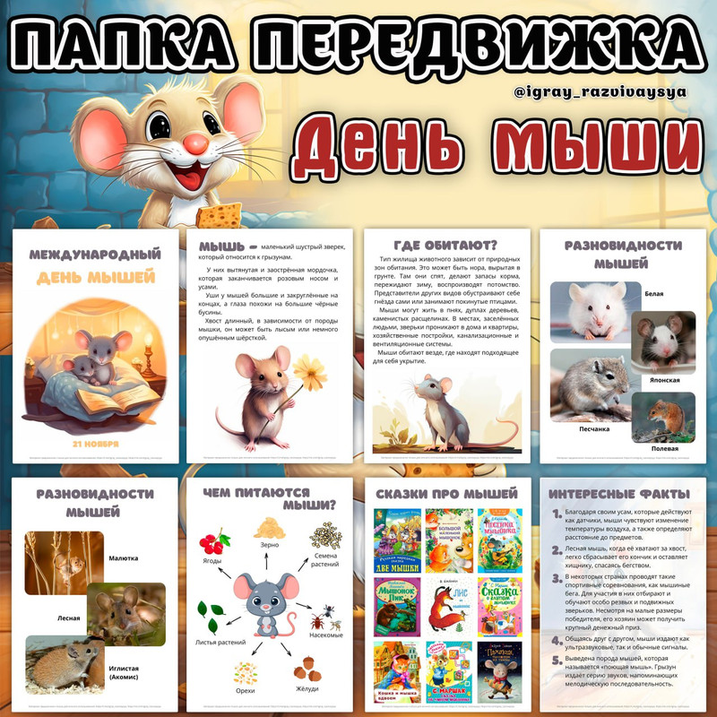 ПАПКА ПЕРЕДВИЖКА МЫШЬ