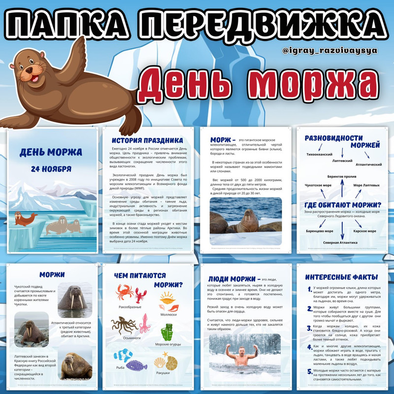 ПАПКА ПЕРЕДВИЖКА ДЕНЬ МОРЖА