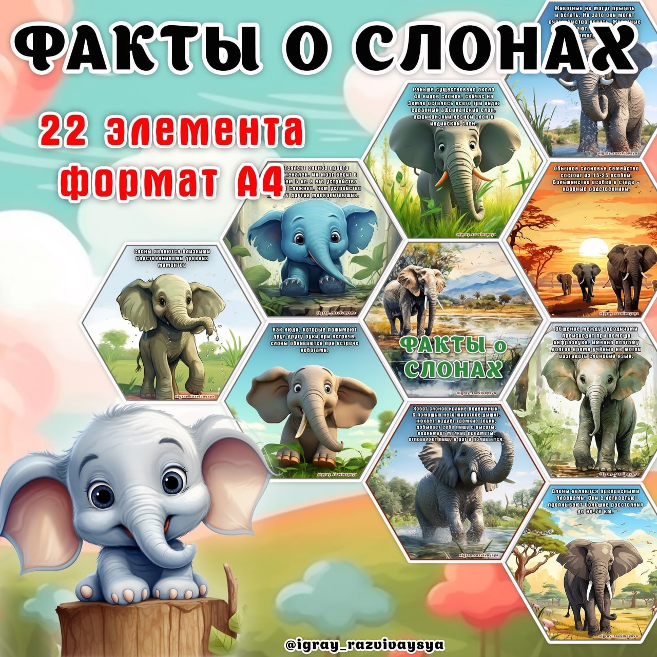 ФАКТЫ О СЛОНАХ — животные африки, животные, карточки — для детского сада — Играй и Развивайся