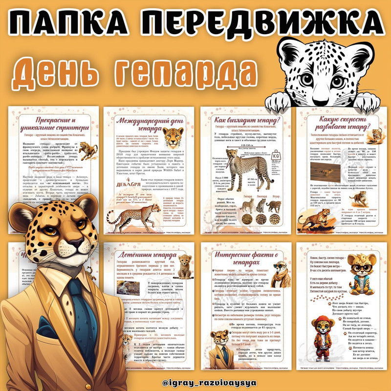 ПАПКА ПЕРЕДВИЖКА ГЕПАРД