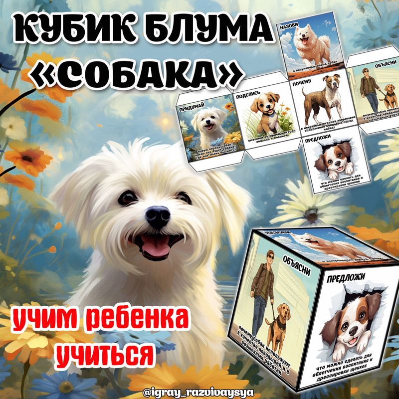 КУБИК БЛУМА СОБАКА
