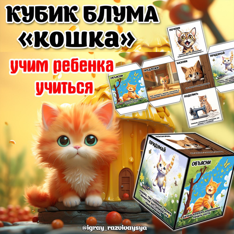 КУБИК БЛУМА КОШКА